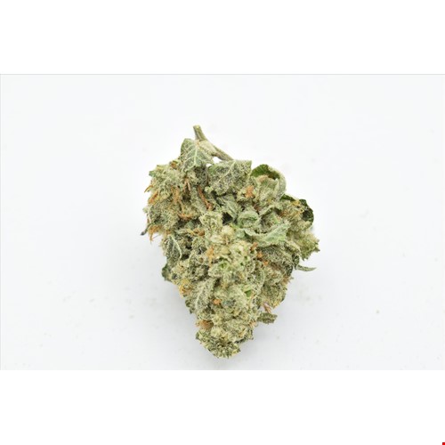 Colorado Bubba (Indica) - SALE 1 OZ $55